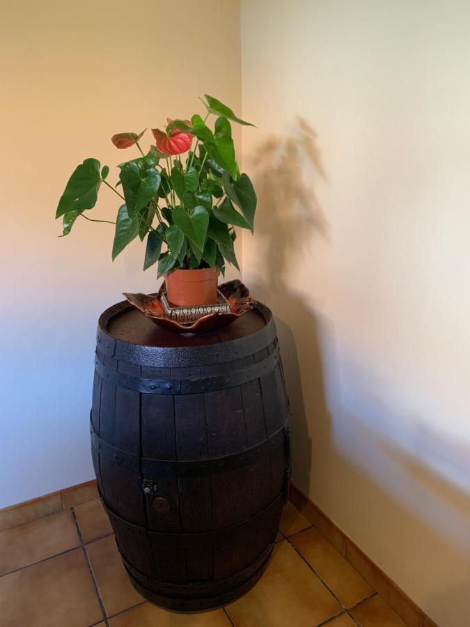 A Louer Appartement Dans Une Maison Arcangues Buitenkant foto
